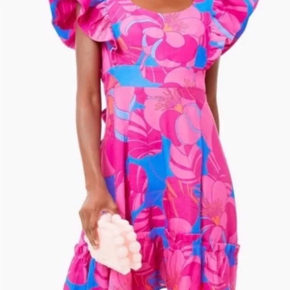 Tuckernuck Vibrant Pink and Blue Midi Dress - Picture 2 of 5